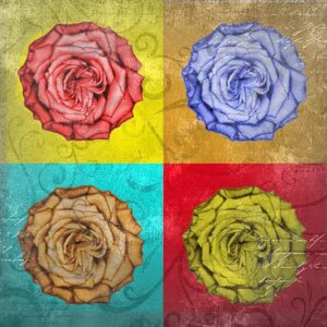 Rose Quadro Pop