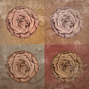Rose Quadro Vintage