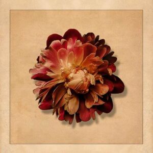 Sommerblume