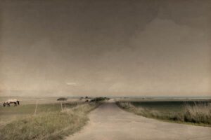 Landschaft auf Amrum