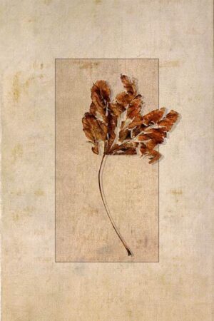 Verwelktes Herbstblatt