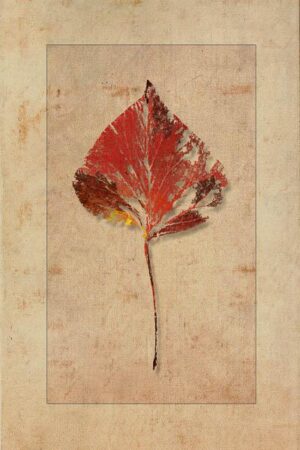 Verwestes Herbstblatt