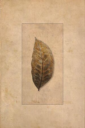 Ein Herbstblatt