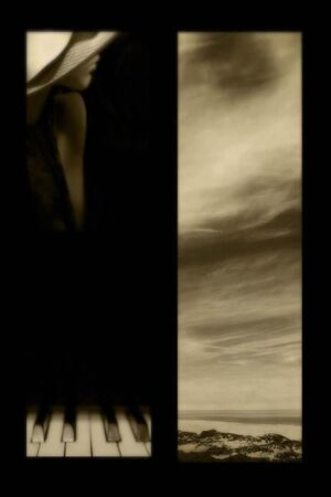 Collage Nordsee Insel Amrum