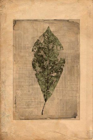 Verwestes Blatt