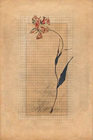 Blume