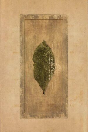 Altes Blatt